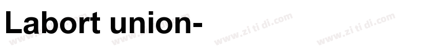 Labort union字体转换